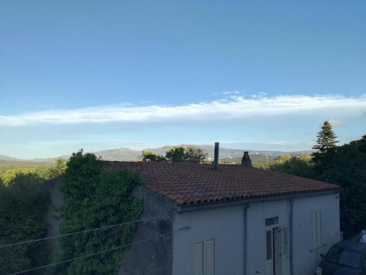 Monti Di Bo Apartment Aggius Екстериор снимка